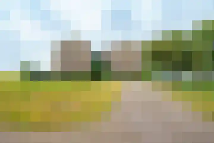 Terpmeent 5 Almere thumbnail 25