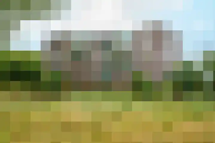 Terpmeent 5 Almere thumbnail 26