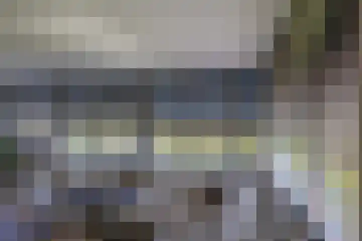 Terpmeent 66 Almere thumbnail 10