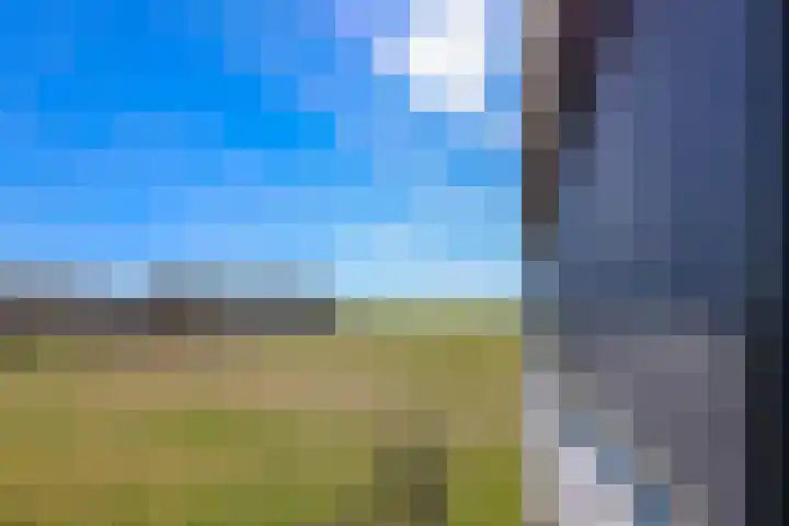 Terpmeent 66 Almere thumbnail 11