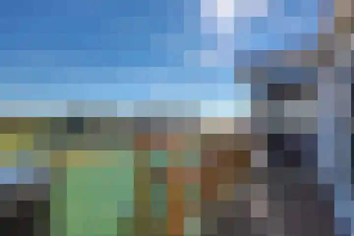 Terpmeent 66 Almere thumbnail 12