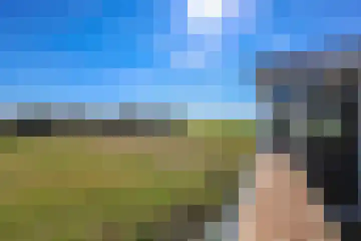 Terpmeent 66 Almere thumbnail 13