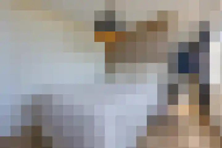 Terpmeent 66 Almere thumbnail 22