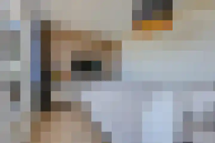 Terpmeent 66 Almere thumbnail 23