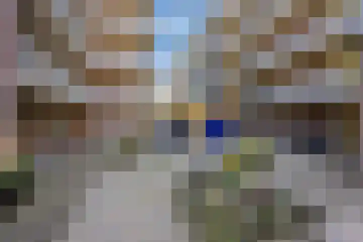 Terpmeent 66 Almere thumbnail 39