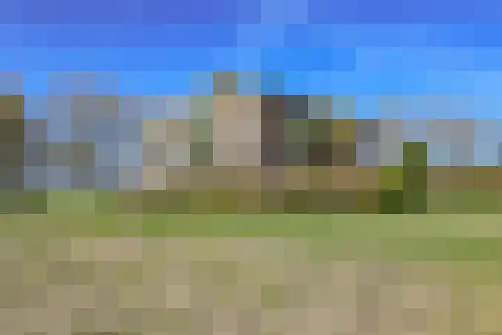 Terpmeent 66 Almere thumbnail 40