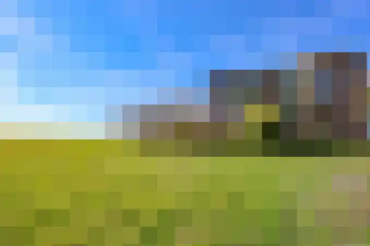 Terpmeent 66 Almere thumbnail 42