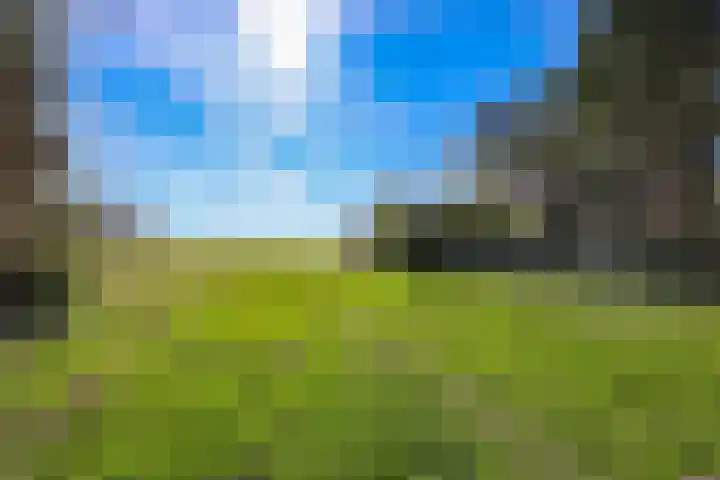 Terpmeent 66 Almere thumbnail 43