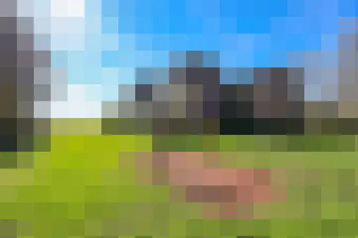 Terpmeent 66 Almere thumbnail 44