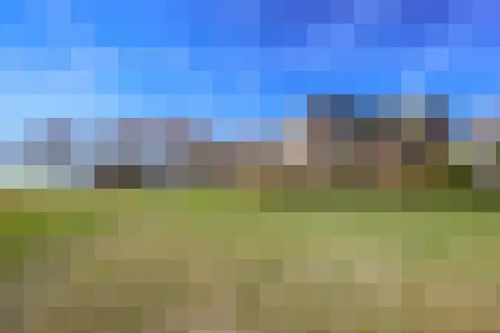 Terpmeent 66 Almere thumbnail 45