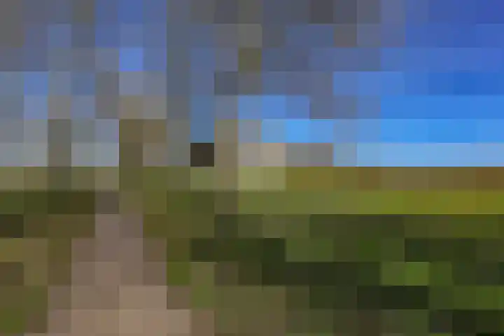 Terpmeent 66 Almere thumbnail 47