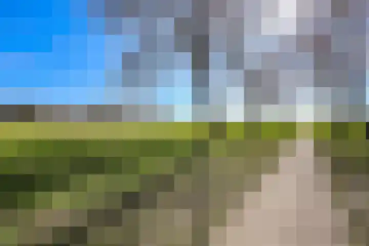 Terpmeent 66 Almere thumbnail 48