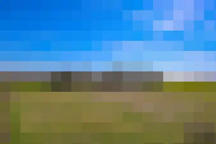 Terpmeent 66 Almere thumbnail 49