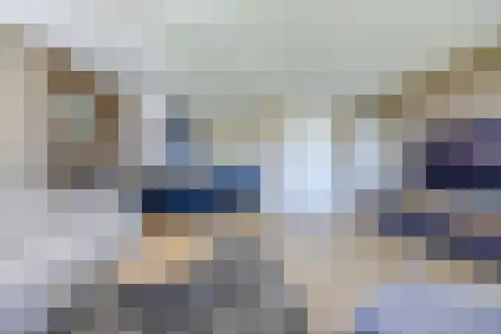 Terpmeent 66 Almere thumbnail 7