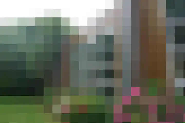 Terppad 1 Wieringerwerf foto 2