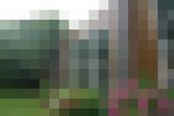 Terppad 1 Wieringerwerf thumbnail 8