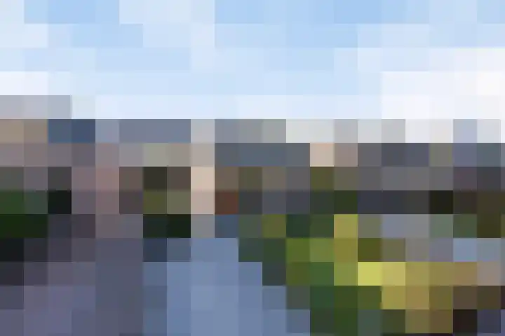 Terppaed 2 Sexbierum