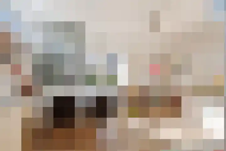 Terppaed 2 Sexbierum thumbnail 12