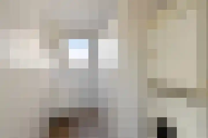 Terppaed 2 Sexbierum thumbnail 15