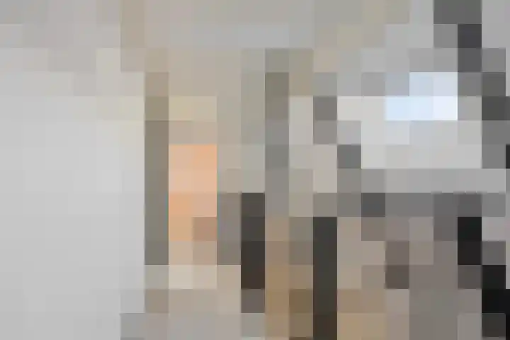 Terppaed 2 Sexbierum thumbnail 17