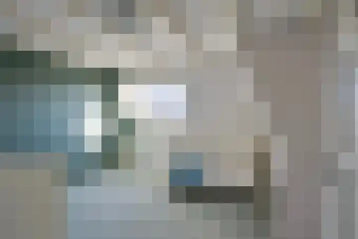 Terppaed 2 Sexbierum thumbnail 20