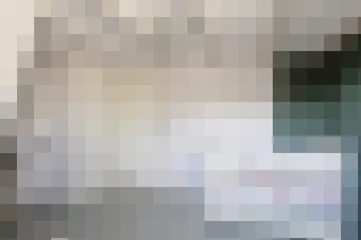 Terppaed 2 Sexbierum thumbnail 21