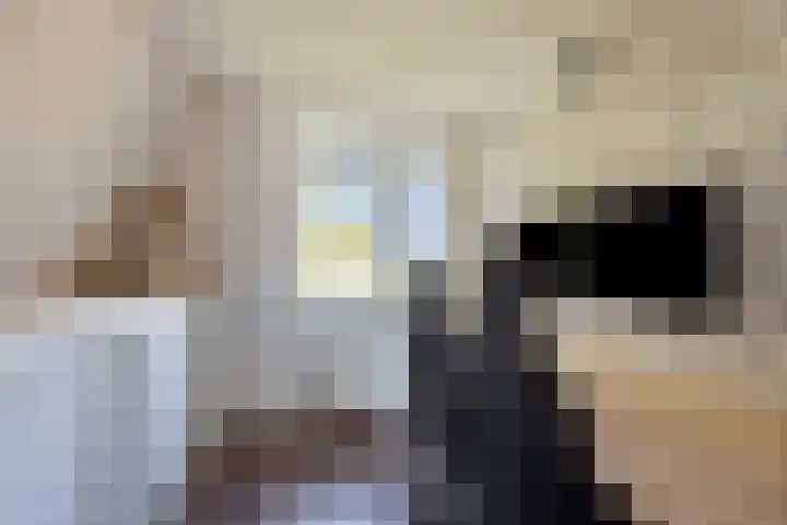 Terppaed 2 Sexbierum thumbnail 22