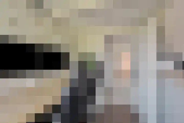 Terppaed 2 Sexbierum thumbnail 23