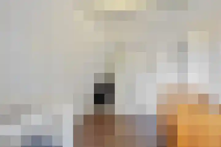 Terppaed 2 Sexbierum thumbnail 25