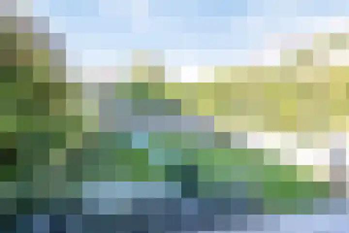 Terppaed 2 Sexbierum thumbnail 26