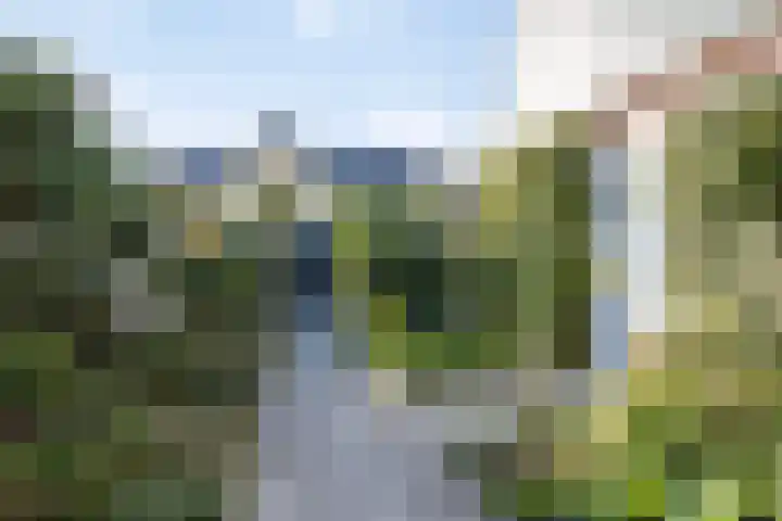 Terppaed 2 Sexbierum thumbnail 30