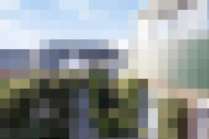 Terppaed 2 Sexbierum thumbnail 31