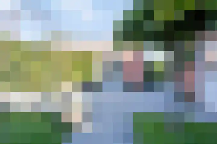 Terppaed 2 Sexbierum thumbnail 35