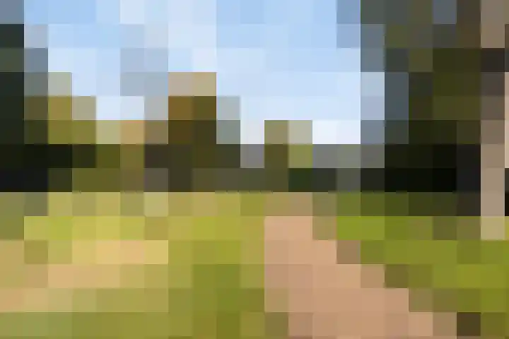 Terppaed 2 Sexbierum thumbnail 36