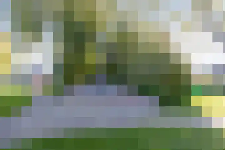 Terppaed 2 Sexbierum thumbnail 37