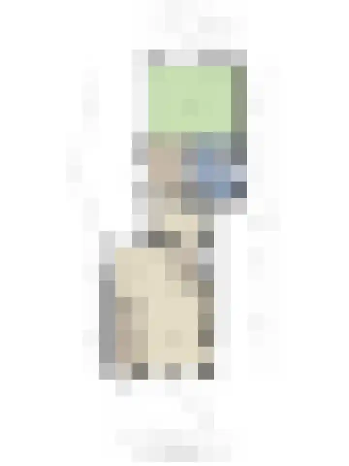 Terppaed 2 Sexbierum thumbnail 38