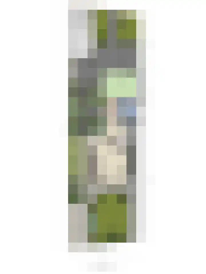 Terppaed 2 Sexbierum thumbnail 39