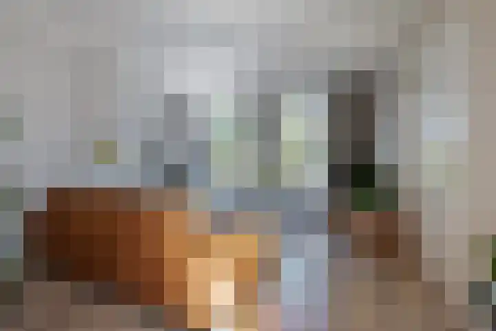 Terppaed 2 Sexbierum thumbnail 4
