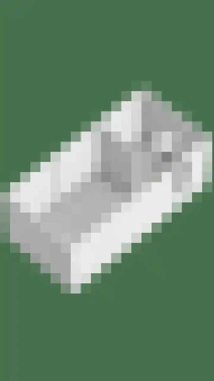 Terppaed 2 Sexbierum thumbnail 43