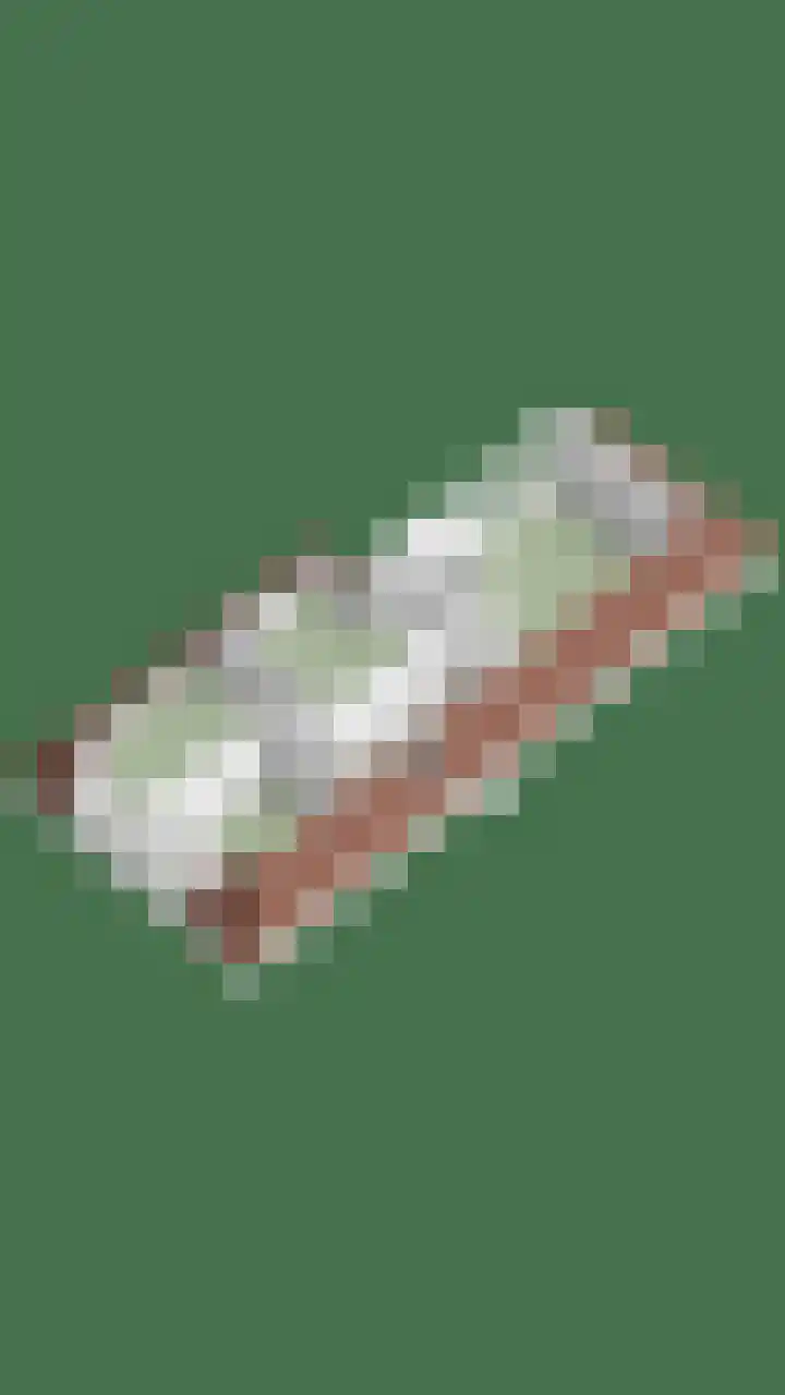 Terppaed 2 Sexbierum thumbnail 46
