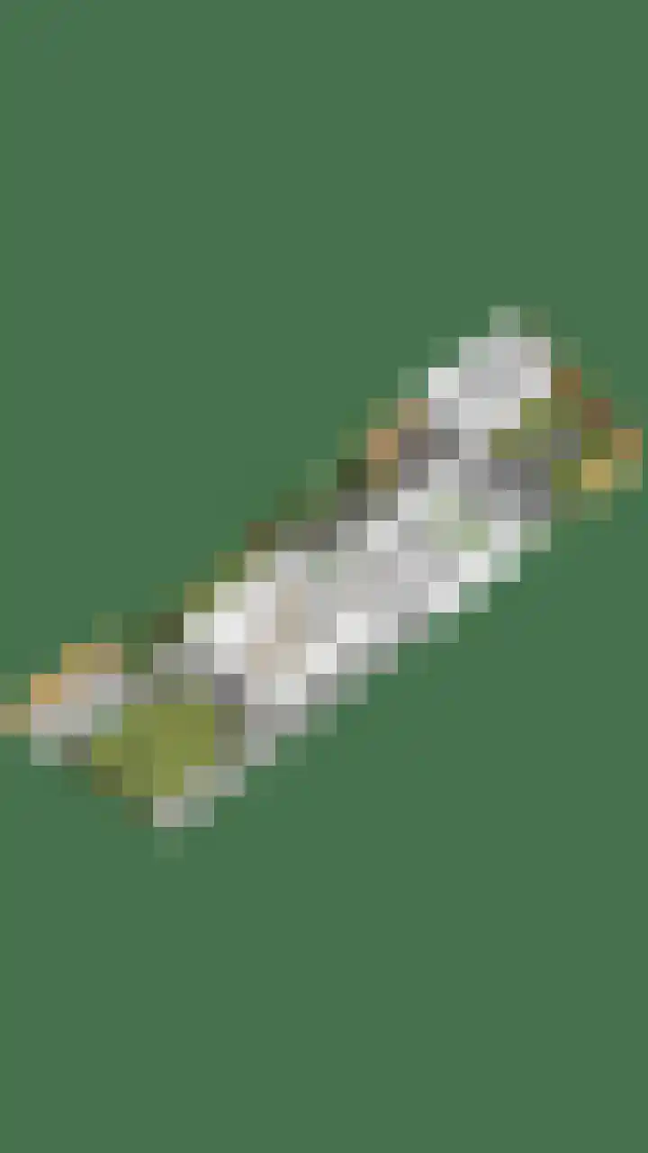 Terppaed 2 Sexbierum thumbnail 47