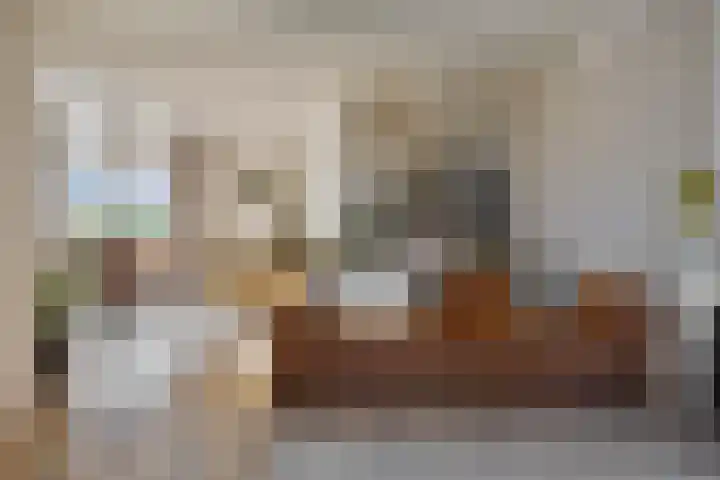 Terppaed 2 Sexbierum thumbnail 5