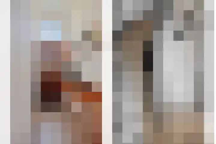 Terppaed 2 Sexbierum thumbnail 6