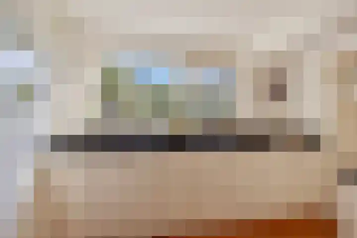 Terppaed 2 Sexbierum thumbnail 8