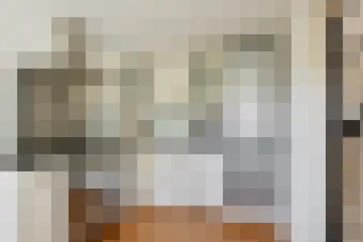 Terppaed 2 Sexbierum thumbnail 9
