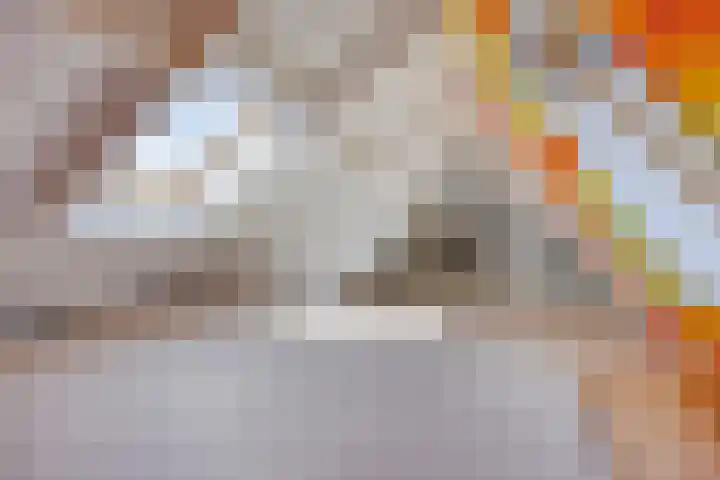 Terpsingel 11 Spijkenisse thumbnail 22