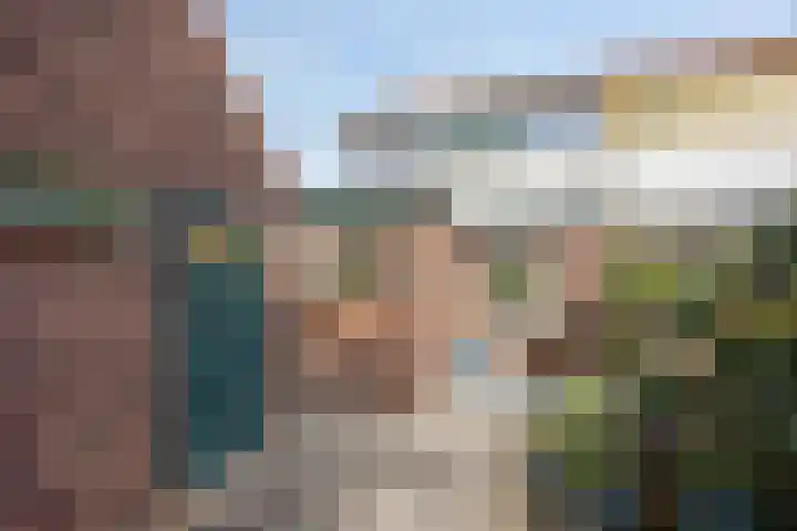 Terpsingel 11 Spijkenisse thumbnail 24