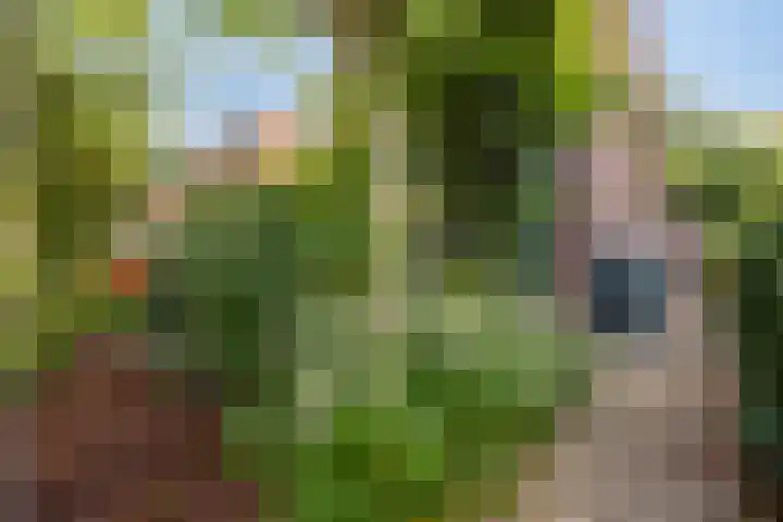 Terpsingel 11 Spijkenisse thumbnail 27