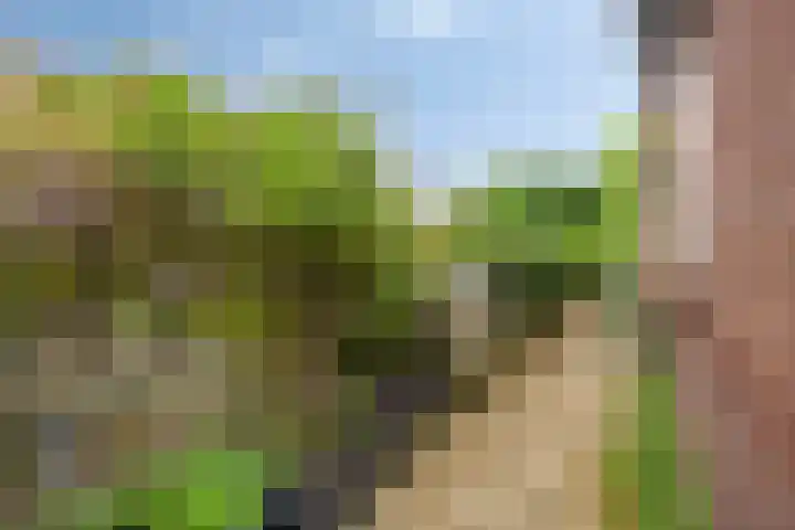 Terpsingel 11 Spijkenisse thumbnail 28