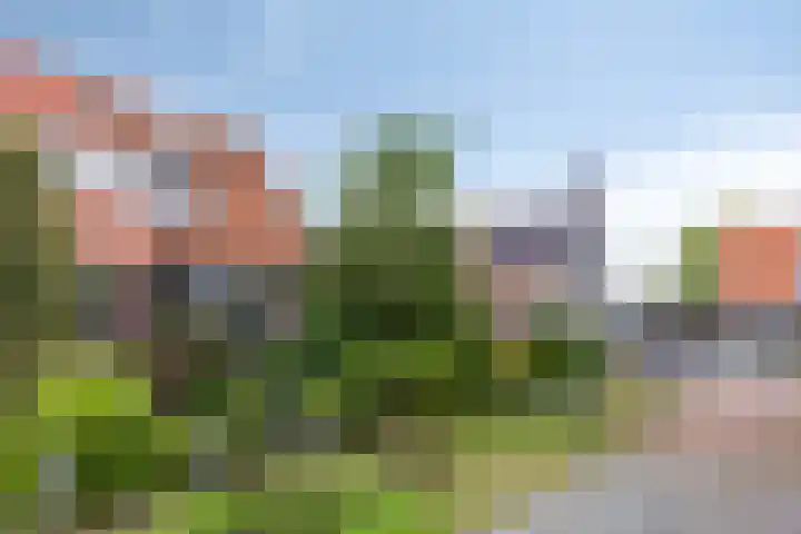 Terpsingel 11 Spijkenisse thumbnail 30